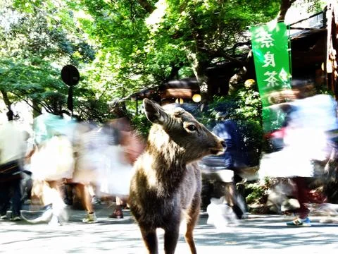 Lost in the park Foto stock