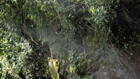 Lost path in the forest Stock Photos