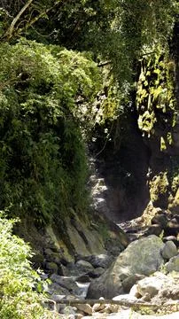 Lost path in the forest Stock Photos