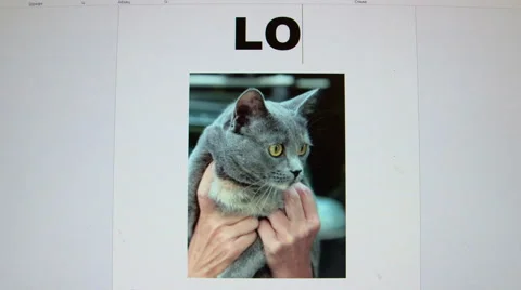Lost pet sign with image of cat Stock Footage 40429609