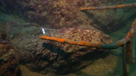 Lost Phone Under the Sea Between Rocks Stock Footage 146808822