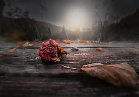 Lost place. Abandoned resort. Missing fruit, rotten apple. Forgotten in the Stock Photos