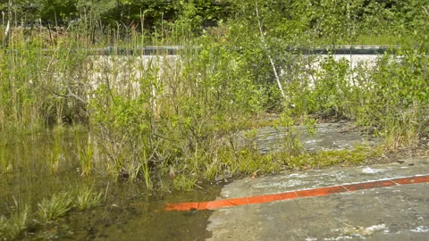 Lost Place Timelapse Stock Footage 170014439