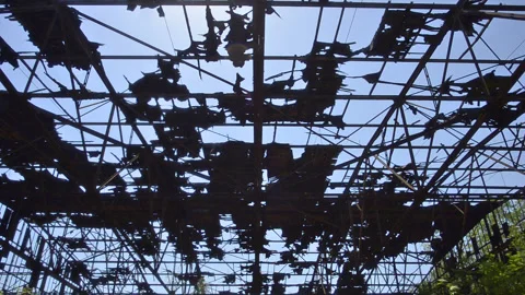 Lost Place Timelapse Stock Footage 170014931