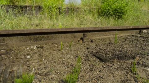 Lost Place Timelapse Stock Footage 170016967