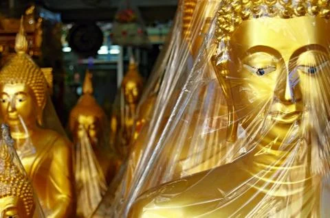 Lost in plastic Stock Photos