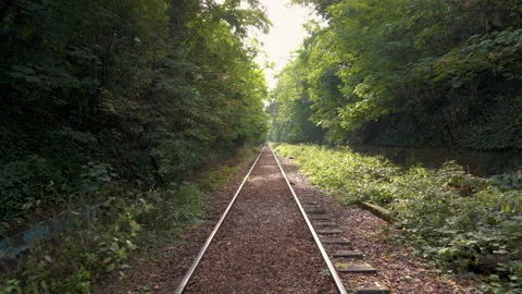 Lost railroad with sun Stock Footage 219956218