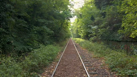 Lost roadrail Stock Footage 219956224