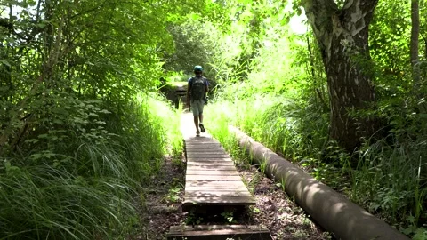 Lost School scout kid walking through a thick forest alone Stock Footage 246787036