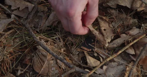 Lost SD card with data found in forest, hands close up, lucky autumn day Video stock 221774547