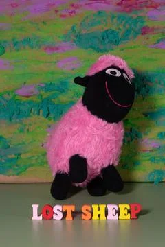 Lost sheep Stock Photos