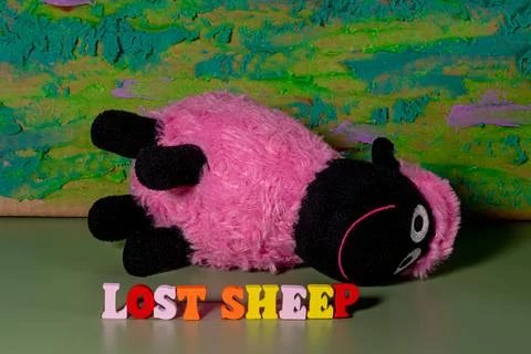 Lost sheep Stock Photos
