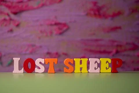 Lost sheep Stock Photos