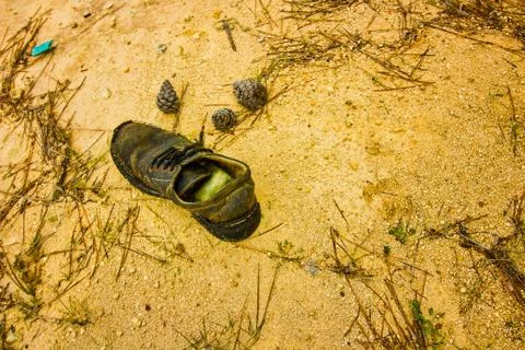 Lost shoe in hunter forest, Background or wallpaper Stock Photos