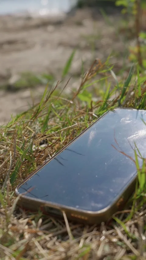 Lost Smartphone Lying Screen Up in Green Grass Outdoor Ground Stock Footage 342184360