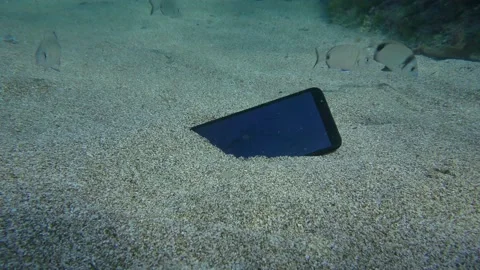 A lost smartphone on a sandy bottom surrounded by a flock of sea bream fish, Stock Footage 172024760