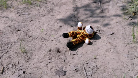 Lost Soft Toy of Tiger Cub Lies on Dirty... | Stock Video | Pond5