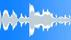 Lost station ringSound Effect