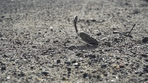 Lost sunglasses fall to the ground, 2 variants + hand retrieving the sunglasses Stockbeeldmateriaal 114061775