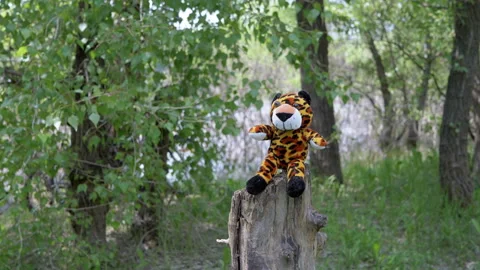 Lost Tiger Cub Soft Toy Abandoned on an ... | Stock Video | Pond5