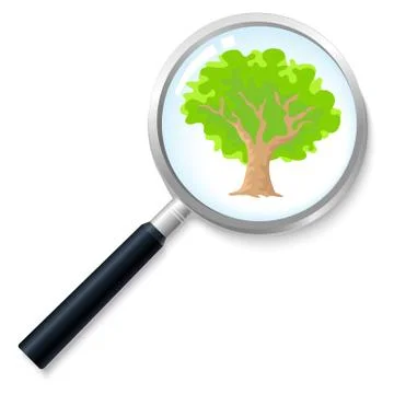 Lost Tree Stock Illustration