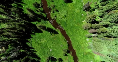 Lost Valley Stream from Above Video stock 92704237