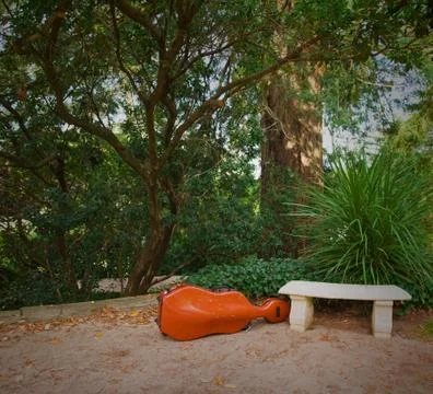 Lost violoncello Photos