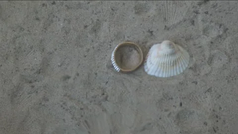 Lost wedding ring lies on sandy bottom next to seashell. Stock Footage 255129820