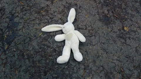 Lost white plush bunny toy lying abandoned on wet ground Stock Footage 341861756