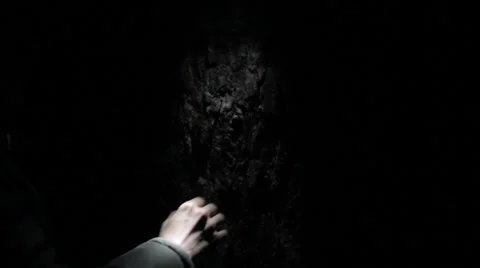 Lost in the woods Stock Footage 36824910