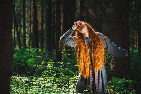 Lost in the woods Stock Photos
