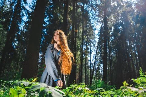 Lost in the woods Stock Photos