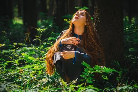 Lost in the woods Stock Photos