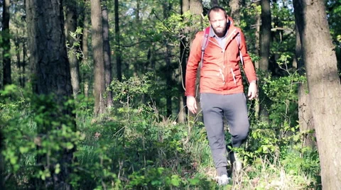 A lost young man looking for direction in the forest HD Stock Footage 49978838