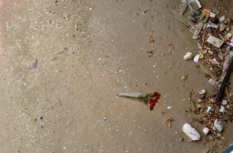 LostLove2 스톡 사진