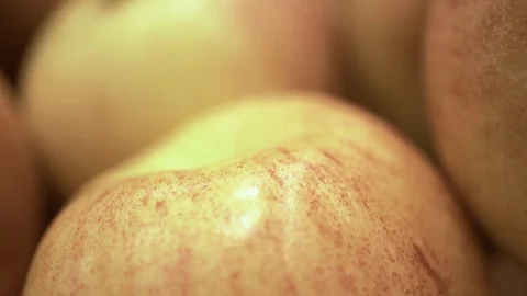 A lot of apples close-up 스톡 동영상 90311865