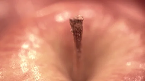 A lot of apples close-up Stock Footage 90314168