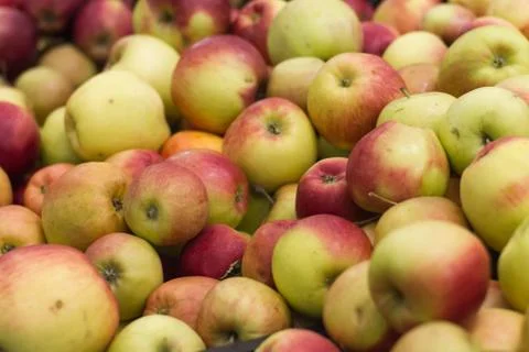 A lot of apples Stock Photos
