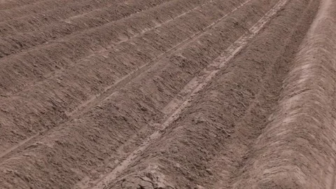 A lot of beds on a large plowed field. Stock Footage 314962964