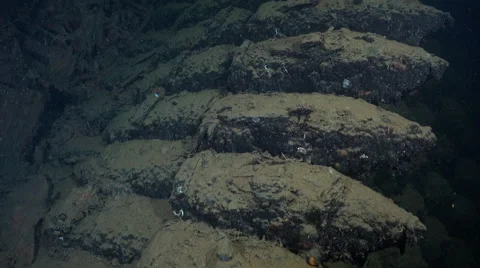 Lot of big bombs, inside the Umbria shipwreck - Red sea, Sudan Stock Footage 61144959