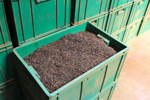 A lot of Boxes of black tea in the tea factory warehouse. Foto stock