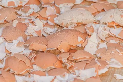 A lot of broken eggshells Stock Photos