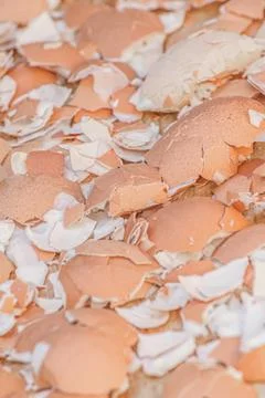 A lot of broken eggshells Stock Photos