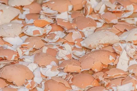 A lot of broken eggshells Stock Photos