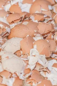 A lot of broken eggshells Stock Photos