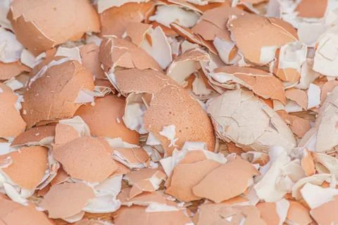 A lot of broken eggshells Stock Photos