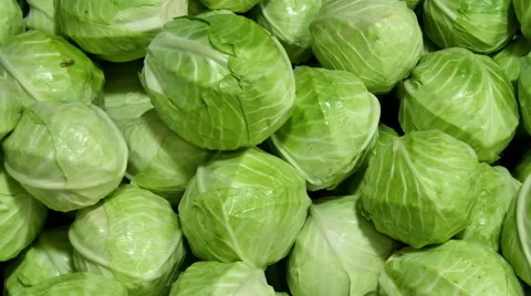 A lot of brussels sprouts for background uses Stock Footage 55408912