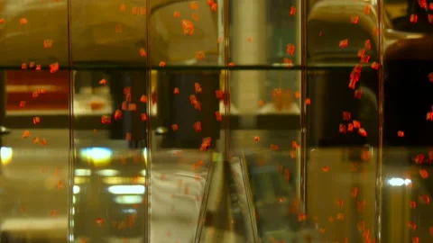 A lot of bubbles with backlight Stock Footage 86597347