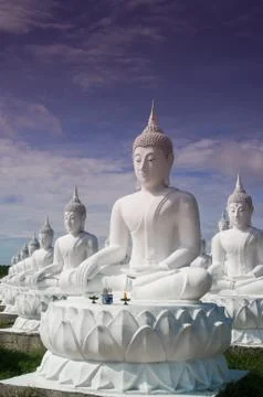 Lot of buddha statue Stock Photos