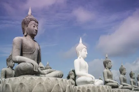 Lot of buddha statue Stock Photos
